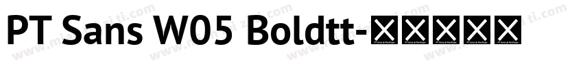 PT Sans W05 Boldtt字体转换